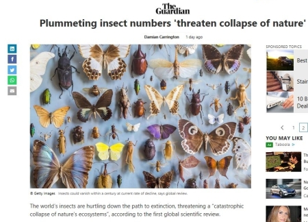 insects 2019 The Guardian